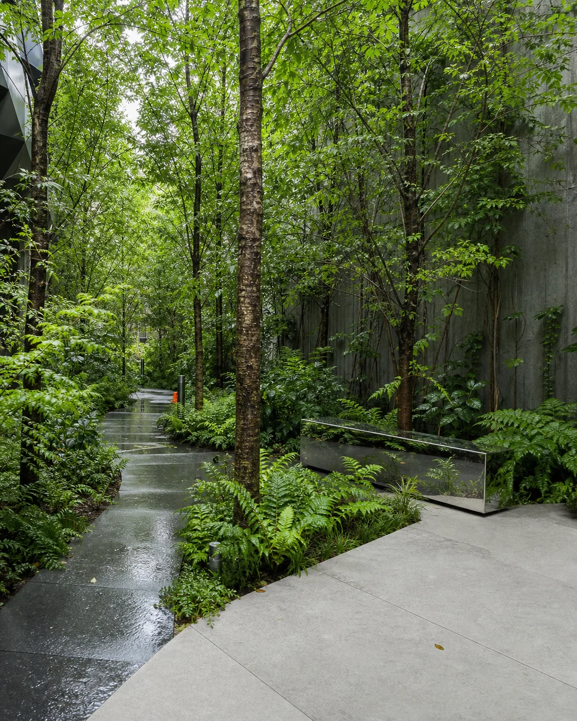 A rain-wet city courtyard filled with ferns and young trees
